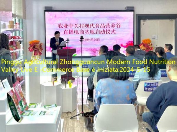 Pinggu Agricultural Zhongguancun Modern Food Nutrition Valley Live E -Commerce Base è iniziata