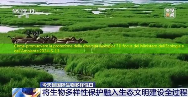 Come promuovere la protezione della diversità biologica？Il focus del Ministero dell’Ecologia e dell’Ambiente